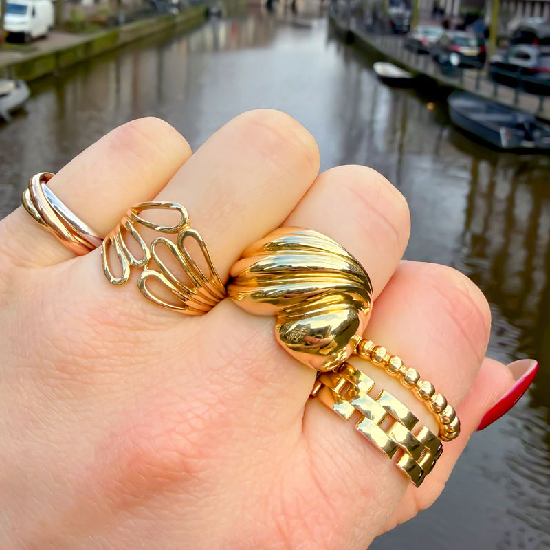 Ringen zonder stenen
